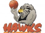 hawkes-bay-hawks-logo